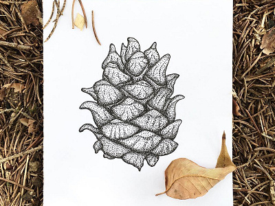 Pine cone doodle drawing illustration indiana indianaart indianaartist ink penandink pine cone shading sketch stipple