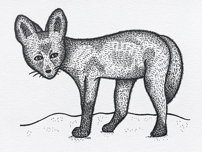 Fox kit doodle drawing fox illustration indiana indianaart indianaartist ink penandink shading sketch stipple