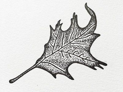 Leaf doodle drawing illustration indiana indianaart indianaartist ink leaf penandink shading sketch stipple