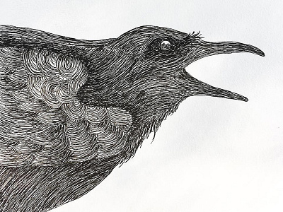 Crow crow doodle drawing illustration indiana indianaart indianaartist ink penandink shading sketch stipple