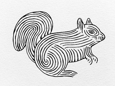 Squirrel doodle drawing illustration indiana indianaart indianaartist ink penandink shading sketch squirrel stipple