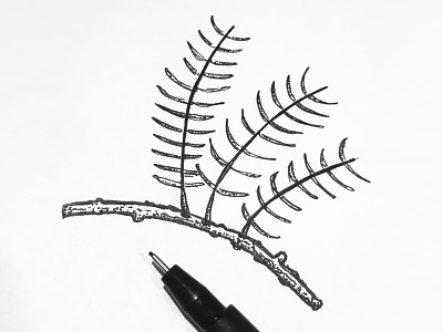 Tree branch black dots indiana ink linework nature pen pinetree sketch stipple tree