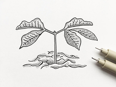 Seedling doodle dots drawing illustration indiana indianaart indianaartist ink nature outdoors pen penandink plant sketch stipple