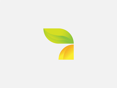 ORANGE branding graphic design logo