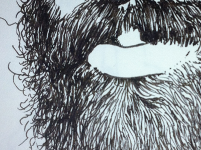 Beard Study beards