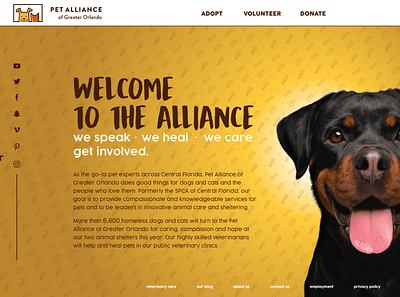 Pet Alliance of Greater Orlando RWD design minimal typography ui ux website