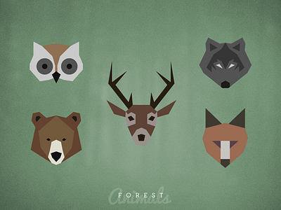 Forest Animals