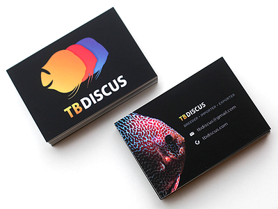TB Discus business card business card color discus paper printed tb