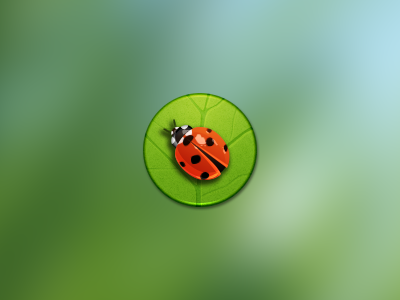 Ladybird circle icon ladybird
