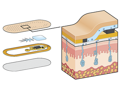 Sweat Sensor cross section cutaway illustration science technical illustration technology