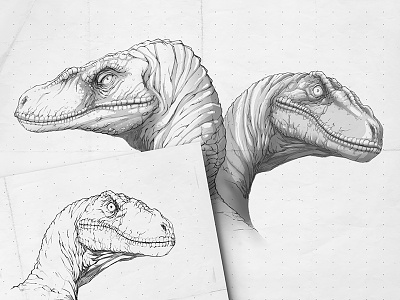 Jurassic World: Raptor Sketches