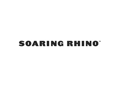 Soaring Rhino Baseline Wordmark baseline brand development branding logo soaring rhino