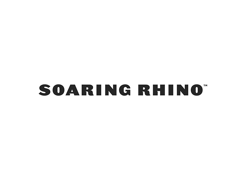 Soaring Rhino Baseline Wordmark baseline brand development logo branding soaring rhino