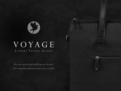 Voyage dark landing page luxury voyage