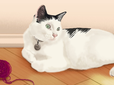 Olivia animated gif animation cat cat portrait illustration
