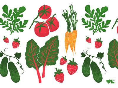 Vegetable Garden Illustration Series