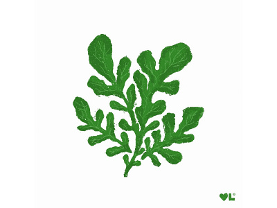 Arugula | Vegetable Garden Illustration Series