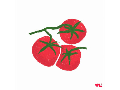Tomato | Vegetable Garden Illustration Series