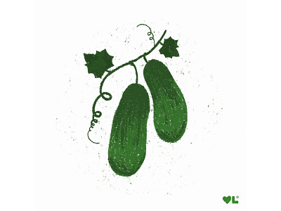 Cucumber | Vegetable Garden Illustration Series