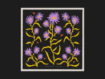 Airwick #SquareFoot SuperBloom Campaign airwick airwick superbloom floral illustration flower drawing flower illustration flowers blooming havas agency illustration illustrator native flower illustration native flowers prairie aster social campaign superbloom superbloom campaign wildflowers wildflowers illustration