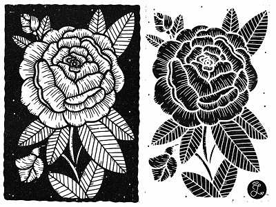 Positive & Negative Rose americana black and white flower handmade illustration illustrator line art negative penandink positive rose tattoo traditional