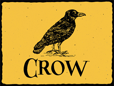C is for Crow alphabet black and white crow halloween handlettering handmade illustration illustrator inktober inktober2k18 lettering raven serif spooky typography yellow