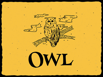 O is for Owl alphabet halloween handlettering illustration inktober lettering owl serif typography yellow