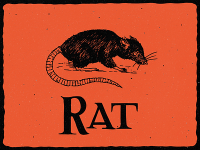 R is for Rat alphabet halloween handlettering illustration inktober lettering line art october orange rat retro typography