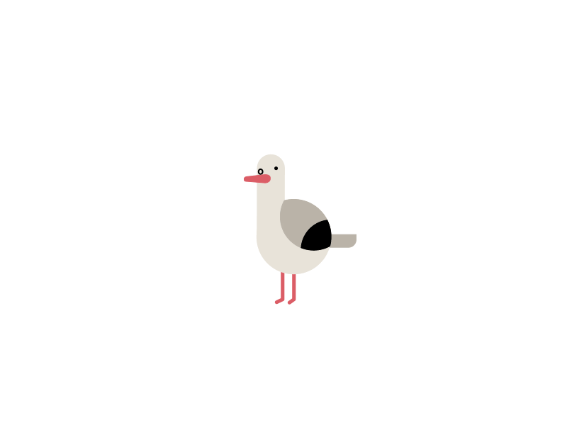 Seagull 2d animation fly flying gif seagull