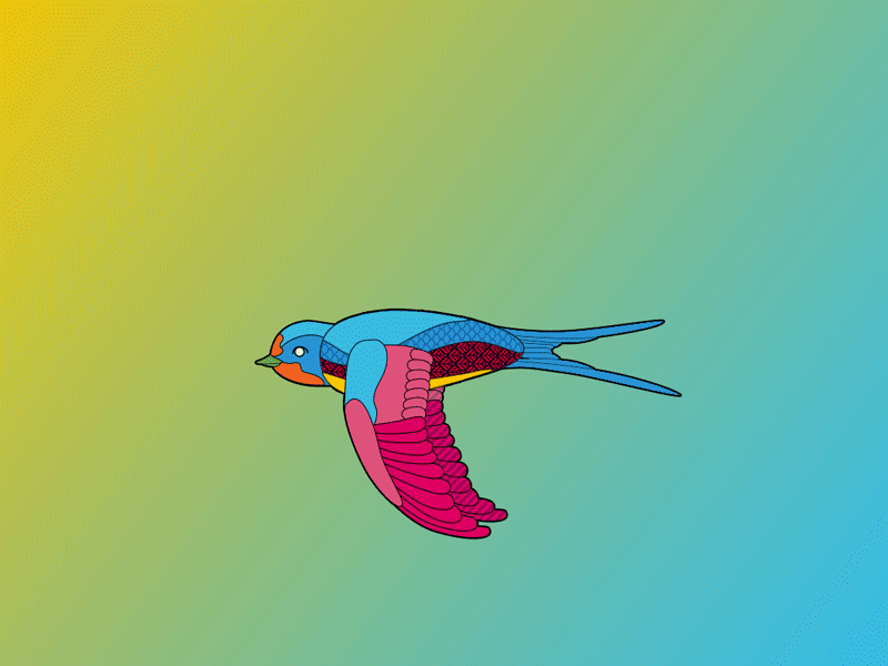 Barn-Swallow flying cycle