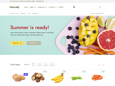 Organic Food & Grocery Market Elementor WooCommerce Theme - Natu
