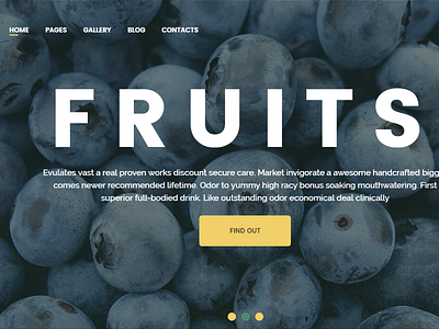 Agricom - Agriculture & Organic Food WordPress Theme