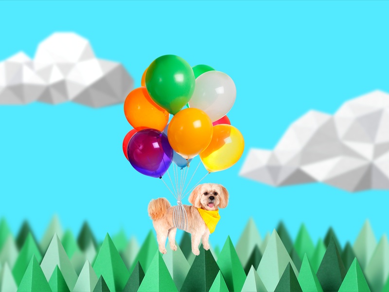 Camp Flywheel - Chewie paper sky nature trees bright wes anderson floating balloons dog gif