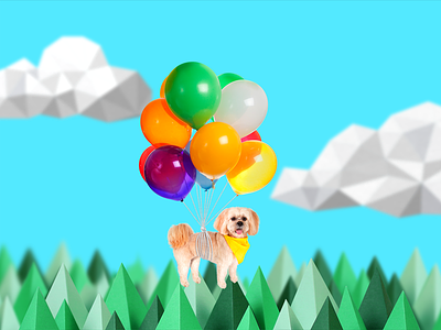 Camp Flywheel - Chewie balloons bright dog floating gif nature paper sky trees wes anderson