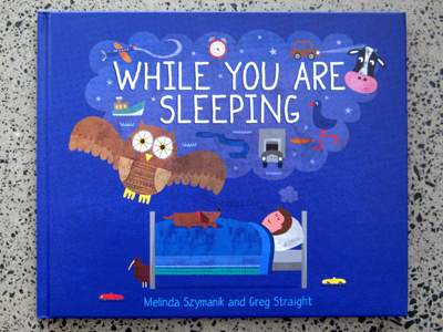 While You Are Sleeping animals book colourful illustration kiwi nz owls