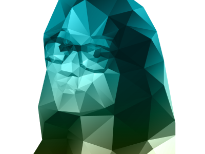 Polygon illustration polygons prism selfie