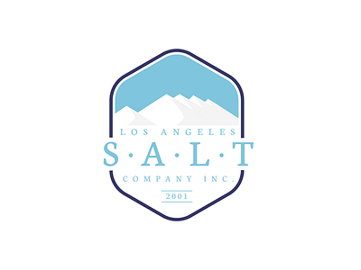 Salt company logo app branding clean design flat icon logo logo design soft typography ui vector white