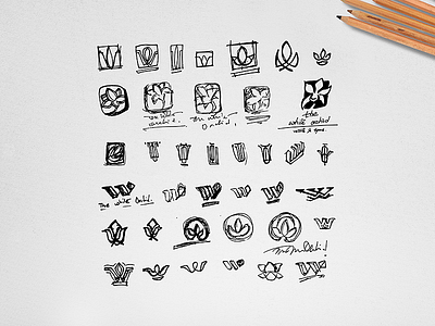 Shape Explorations behindthescene branding exploration graphic identity india logo pencil shape sketch typography wip