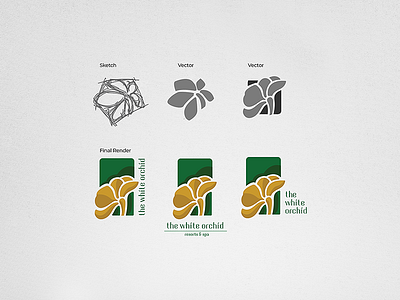 Concept logo design branding concept graphic identity india logo typography