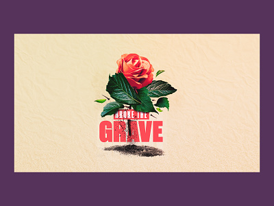 Broke the Grave album church flower grave record series