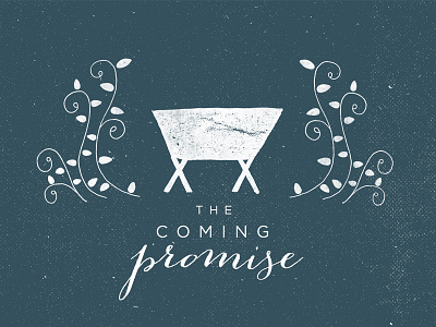 The Coming Promise christmas hand drawn illustrated leaves manger sermon series vines