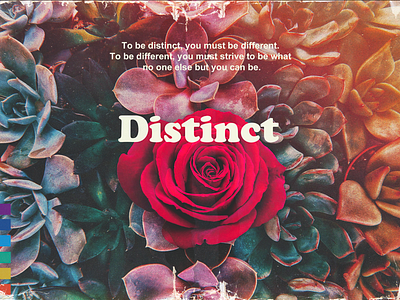 Distinct distinct retro rose sermon series