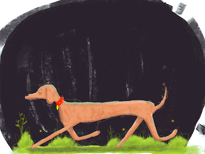 Dog character design digital ilustration paint