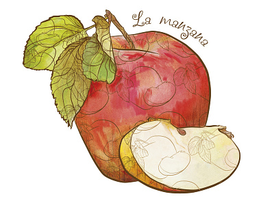La manzana apple fruits illustration