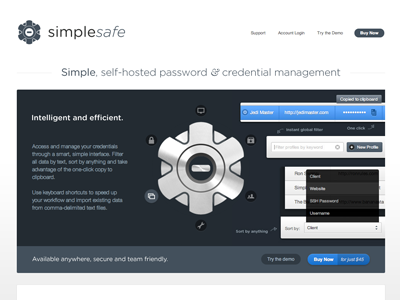 Presenting SimpleSafe app credential html5 password simplesafe