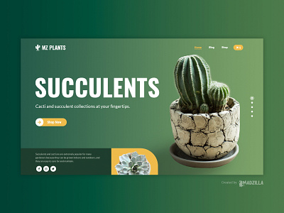 Succulents​ Design Inspiration branding design illustration ui website website concept website design website designer