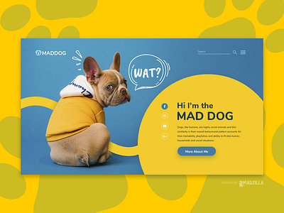 Dogs Design Inspiration branding design illustration ui website website concept website design website designer