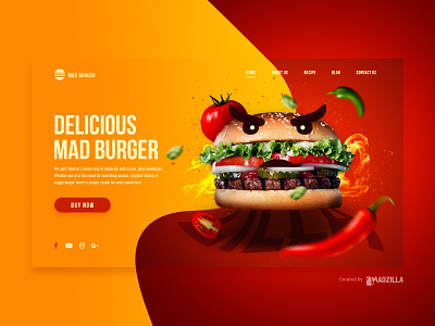 Burger Design Inspiration branding design illustration ui website website concept website design website designer