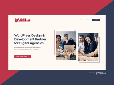 MadZilla Designs Website Idea branding design illustration landing page website website concept website design website designer
