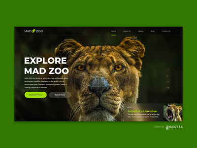 Zoo Design Inspiration branding design illustration landing page website website concept website design website designer